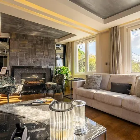 Ortakoy Modern & Luxury House With Bosporus View * Istanbul